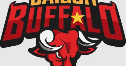 Saigon Buffalo vs Istanbul WildCats typ i analiza 30.09.2022r. - piątek. | Typy bukmacherskie